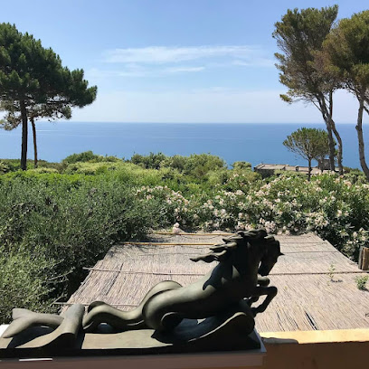 Hotel Ristorante Vinicio